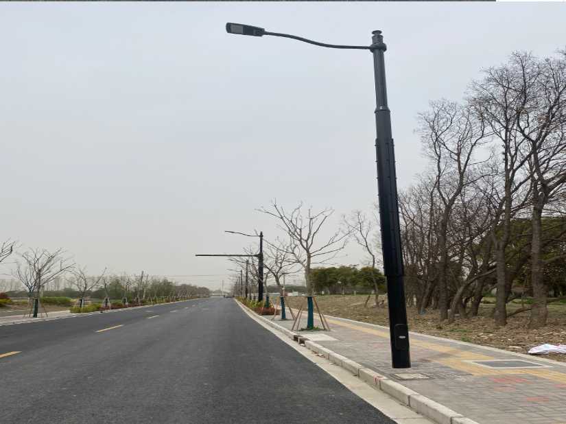应城市上海综合杆 太阳能路灯工程
